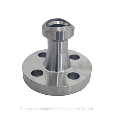 WNR 2,4819 ASTM B564 Hastelloy C276 WeldoFlange